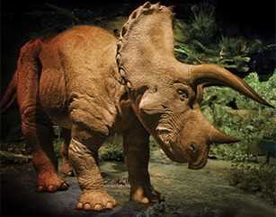 Купуйте динозавра