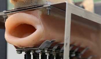 Співаючий робот японіі. Відео