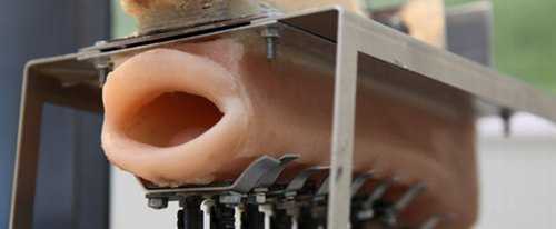 Співаючий робот японіі. Відео