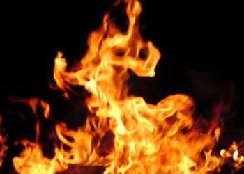 На острові Білгородському горять ліси, Одеса в диму