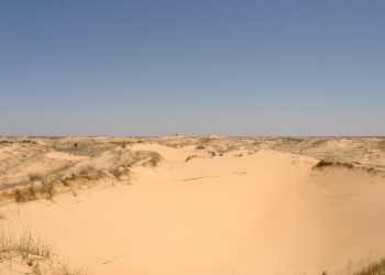 У 2021 році майже половина Євросоюзу перетвориться на пустелю