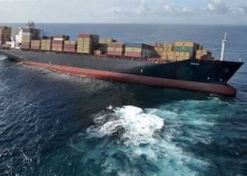 Новій Зеландії загрожує екологічна катастрофа