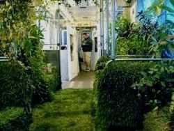 У метро створили мобільний сад