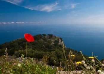 Вінницькі учасники акції «Серце до серця» зібрали півмільйона гривень для дітей-діабетиків