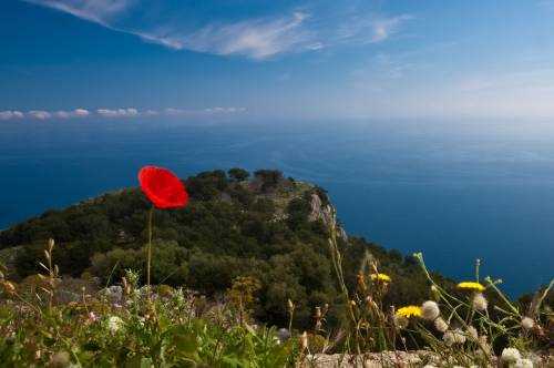 Вінницькі учасники акції «Серце до серця» зібрали півмільйона гривень для дітей-діабетиків