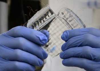 Нове покоління надчутливих сенсорів стане шкірою роботів