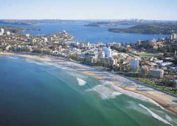 У Сіднеї з'явилися зграї говорячих птахів