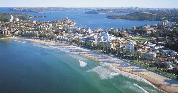 У Сіднеї з'явилися зграї говорячих птахів