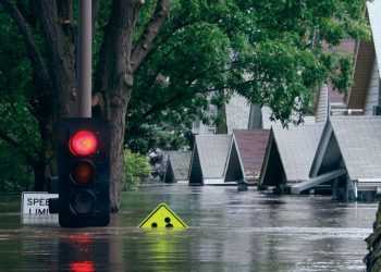 Через повені в Таїланді зупиняся заводи Toyota у Північній Америці