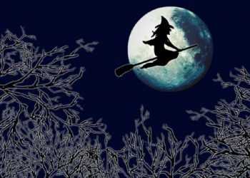 Сенат відхилив законопроект про оподаткування відьом