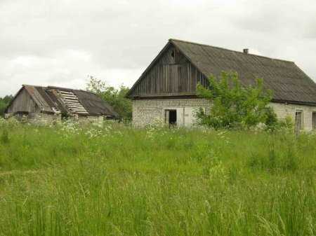 Невтішні новини Міністерства агрополітики