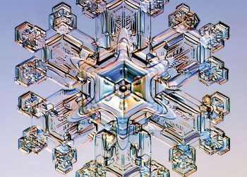 Электронные микроскопы: таинственный микромир перед твоими глазами