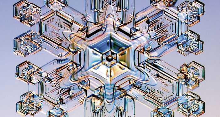 Электронные микроскопы: таинственный микромир перед твоими глазами