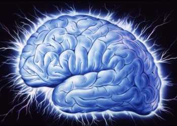 Мозок білінгвів працює швидше