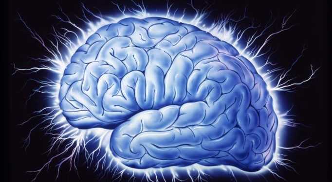 Мозок білінгвів працює швидше