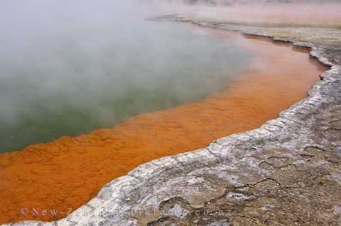 У Новій Зеландії є цілий «басейн з шампанським»