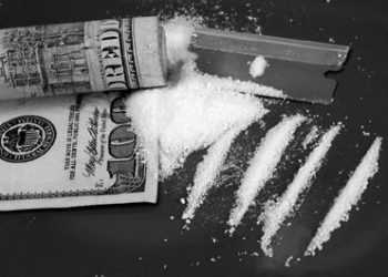 Чи буде людина приймати наркотики чи ні залежить від її інтелекту