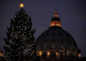 Головна ялинка Ватикану в цьому році родом з України