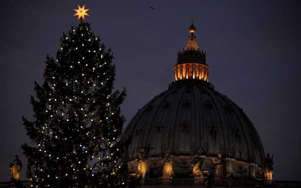 Головна ялинка Ватикану в цьому році родом з України