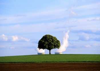 Штучні дерева даватимуть людству електрику