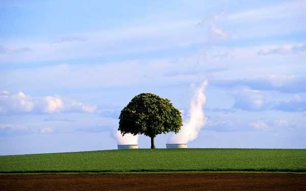 Штучні дерева даватимуть людству електрику