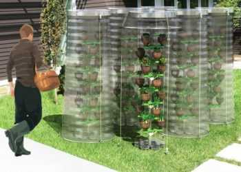 Пластикові дерева для ефективного рослинництва