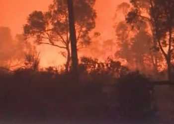 Австралію охопили пожежі