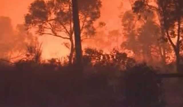 Австралію охопили пожежі