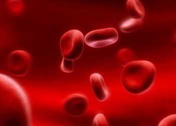 Вчені працюють над створенням універсальної крові