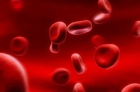 Вчені працюють над створенням універсальної крові