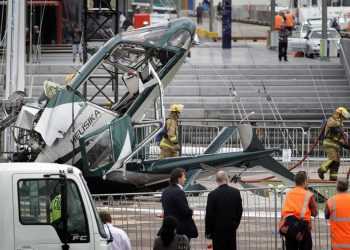 У Новій Зеландії вертоліт розбився після удару об різдвяну ялину