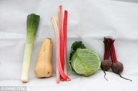 Поліція Англії влаштовує впізнання овочів