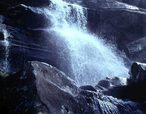 За рік на Говерлу піднялись більше 17 тис. туристів