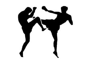 Медалі з кікбоксингу їдуть в Україну