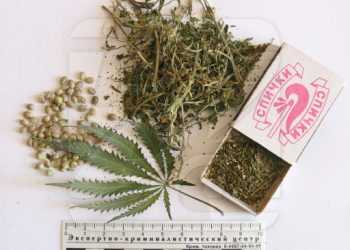 За коробок коноплі в колонію - колонія