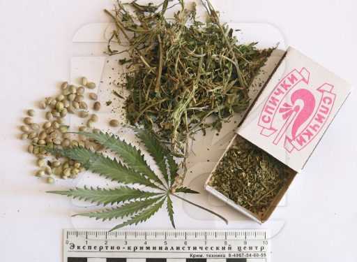 За коробок коноплі в колонію - колонія