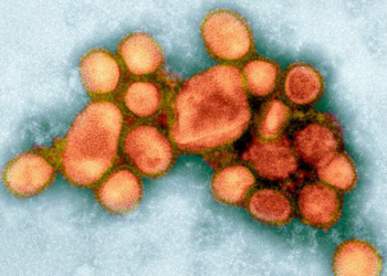 У Америці розробили нові ліки від СНІДу