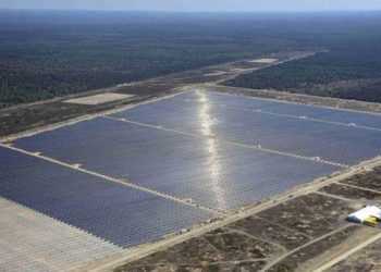 «Ліс із наноялинок» - потужна сонячна батарея