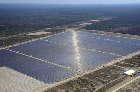 «Ліс із наноялинок» - потужна сонячна батарея