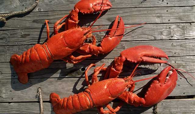 Поліція затримала вбивцю омарів