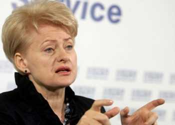 Майдан чекає Президента Литви