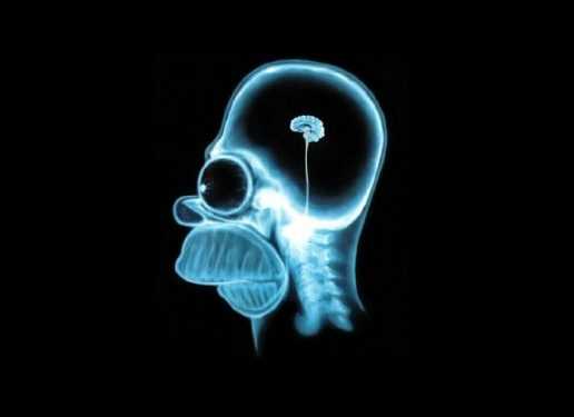 Від шлюбу без любові всихає мозок