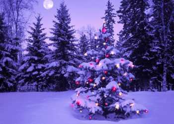 Готуємось до Нового року