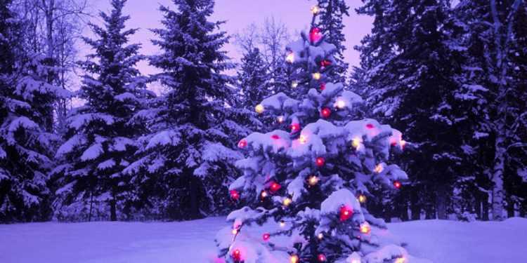 Готуємось до Нового року