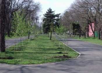 В Одеському парку гинуть озера