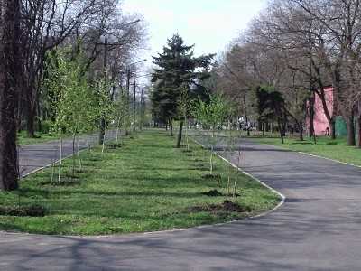 В Одеському парку гинуть озера