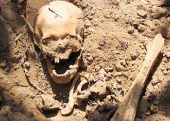 На Рівненщині під підлогою храму виявлено останки 30 людей