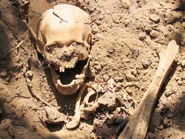 На Рівненщині під підлогою храму виявлено останки 30 людей