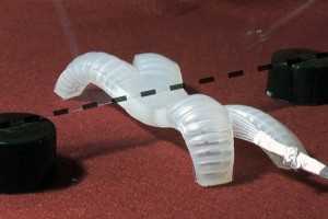 Американці створили м'якого робота-гусінь