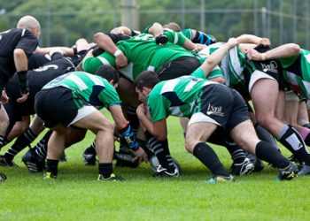 Колишнього регбіста оштрафували на 100 свиней